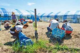 芝生広場を作るための作業をする利用者たち＝日進市野方町で